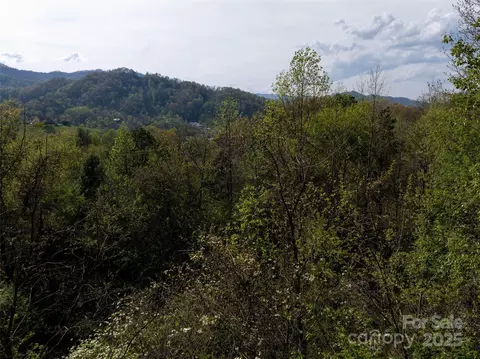 Sunnybrook Trail, Clyde, NC 28721 photo 5
