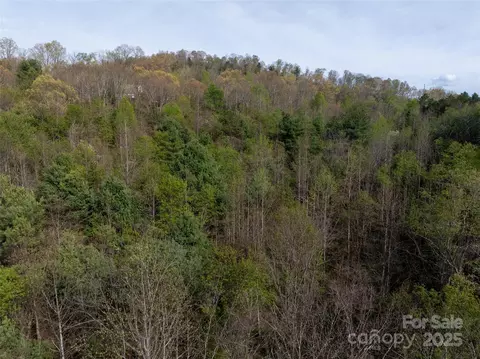 Sunnybrook Trail, Clyde, NC 28721 photo 7
