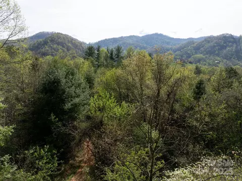 Sunnybrook Trail, Clyde, NC 28721 photo 6