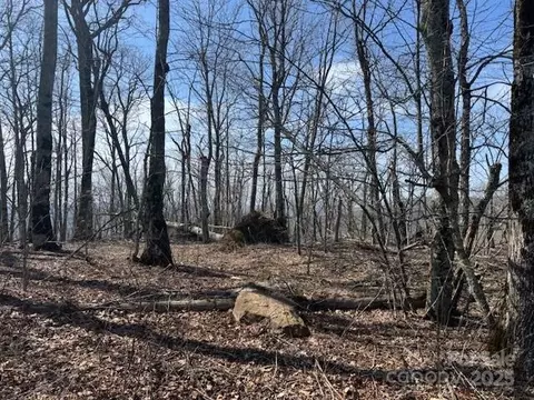 389 Mckinney Gap Rd, Mars Hill, NC 28754