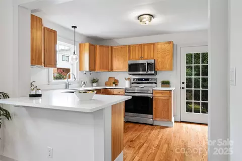 14 Monroe St, Brevard, NC 28712 photo 35