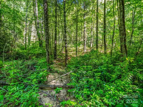 Climbing Road, Hendersonville, NC 28792