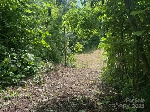 0 Cope Creek Rd, Sylva, NC 28779 photo 8