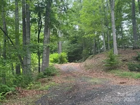 0 Cope Creek Rd, Sylva, NC 28779 photo 10