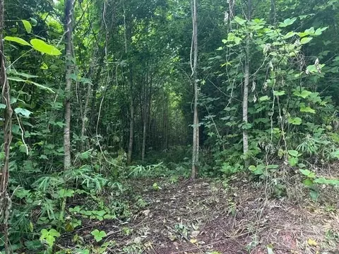 0 Cope Creek Rd, Sylva, NC 28779 photo 6