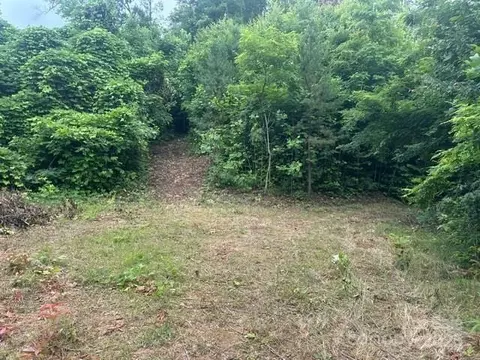 0 Cope Creek Rd, Sylva, NC 28779 photo 2