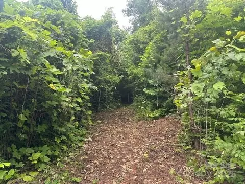 0 Cope Creek Rd, Sylva, NC 28779 photo 3