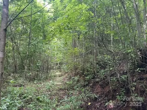 0 Cope Creek Rd, Sylva, NC 28779 photo 7