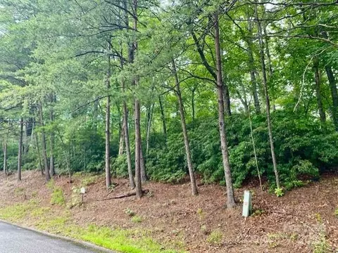 0 Quail Ridge 164 Rd #164, Lake Lure, NC 28746