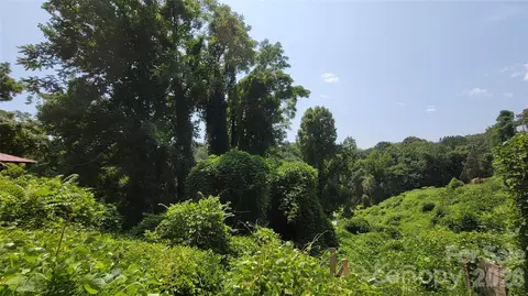Other - 160 Cleveland Rd, Tryon, NC 28782 photo 28 of 28