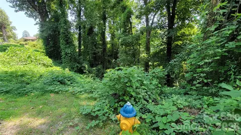 Other - 160 Cleveland Rd, Tryon, NC 28782 photo 16 of 28