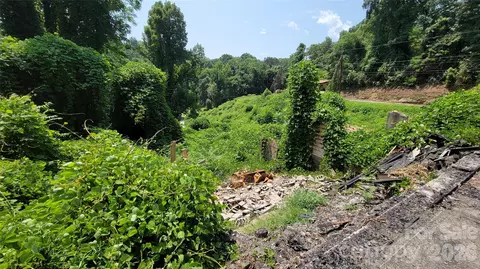 Exterior - 160 Cleveland Rd, Tryon, NC 28782 photo 6 of 7