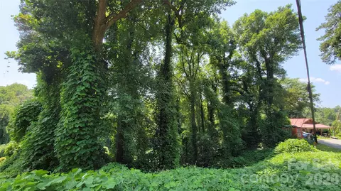 Other - 160 Cleveland Rd, Tryon, NC 28782 photo 21 of 28