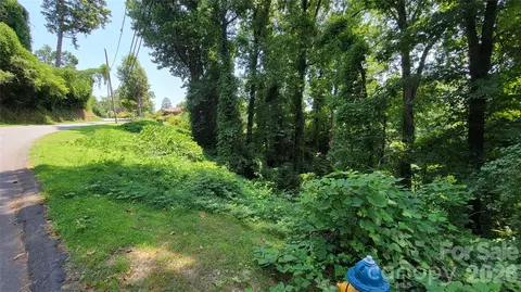 Other - 160 Cleveland Rd, Tryon, NC 28782 photo 10 of 28