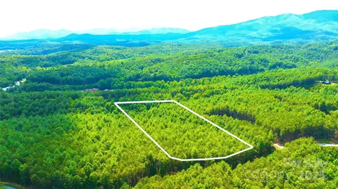 2422 Ivy Rays Way, Nebo, NC 28761