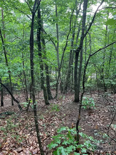 0 Pineknoll Dr, Hickory, NC 28602 photo 10