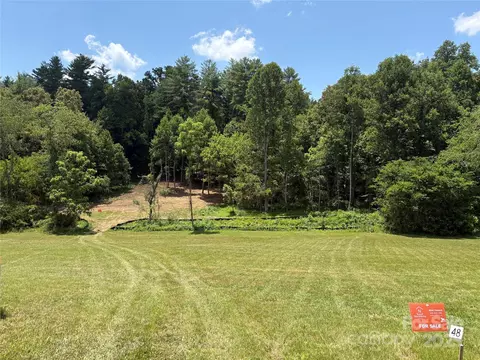 9999 Settlers 48 Trl #48, Mars Hill, NC 28754