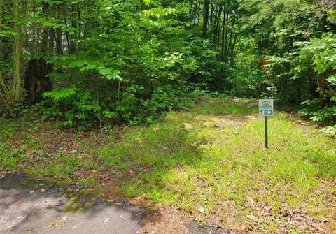 124 Bear River Lodge Trail #124, Marshall, NC 28753