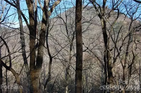 Summit 30 Court #30, Lake Lure, NC 28746