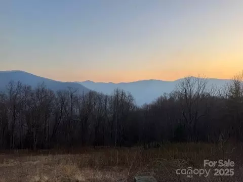 Sorrells Creek Road, Canton, NC 28716