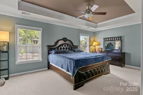 10825 Traders Ct, Davidson, NC 28036 photo 15