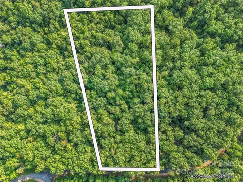 0 Forest Country Lot 49 Dr #LOT 49, Marion, NC 28752
