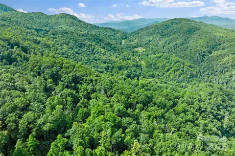 Bear River Lodge 132 Trail #132, Marshall, NC 28753