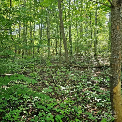 99999 Campground Rd, Asheville, NC 28805