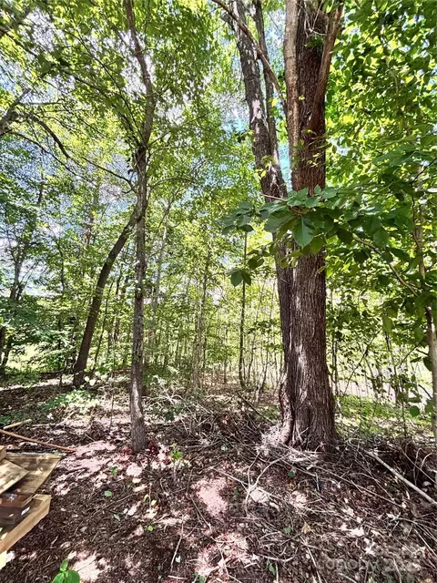 1890 Bud Tilley Rd, Pinnacle, NC 27043 photo 28
