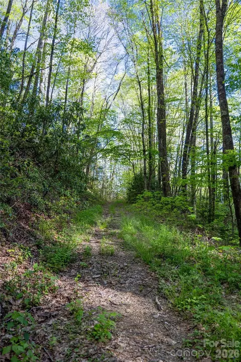 3409 Parris Branch Rd, Sylva, NC 28779 photo 18