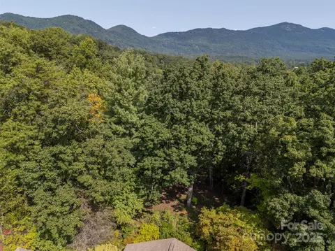 180 Doubleday Rd, Tryon, NC 28782 photo 15