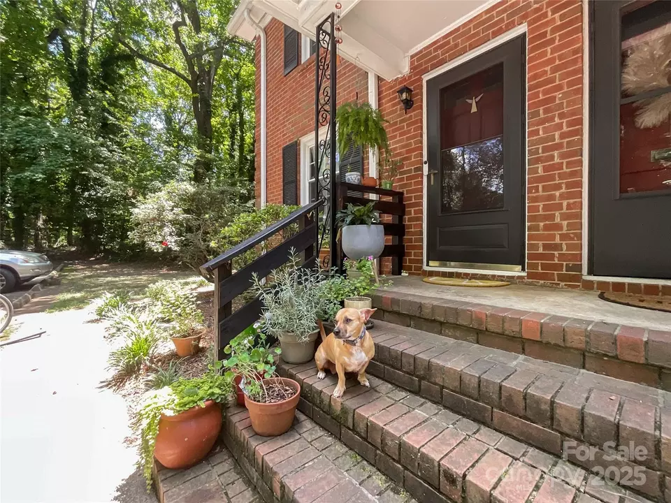 Exterior - 932 Hollywood St, Charlotte, NC 28211 photo 7 of 7