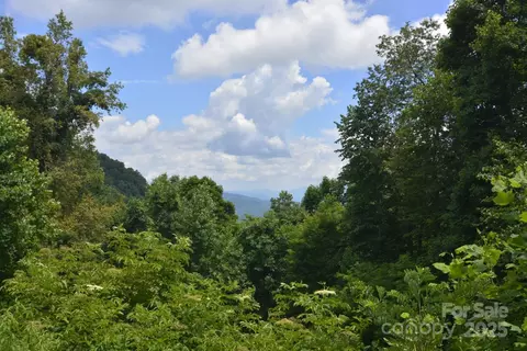 999 Red Wolf 48 Run #48, Mars Hill, NC 28754