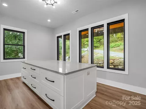 Other - 93 Chesterfield Dr, Mill Spring, NC 28756 photo 3 of 16
