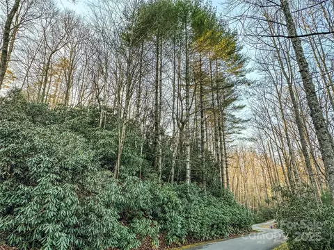 D17 Caroline Lane, Pisgah Forest, NC 28768