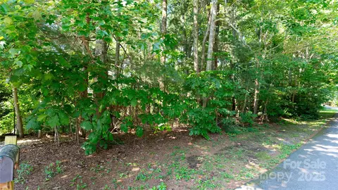 00 Glen Echo Cir, Saluda, NC 28773 photo 8
