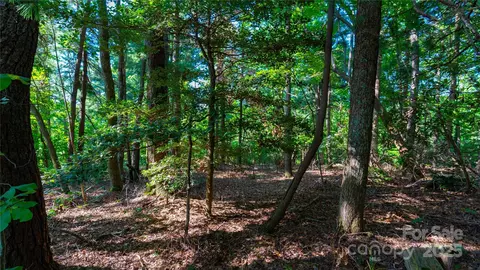 00 Glen Echo Cir, Saluda, NC 28773 photo 6
