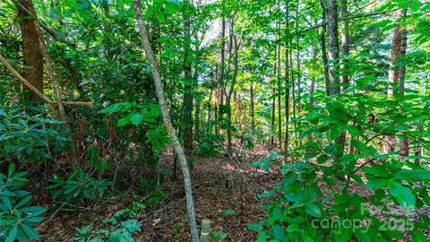 00 Glen Echo Cir, Saluda, NC 28773 photo 9