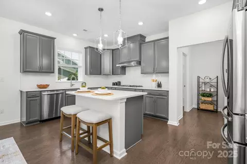 17203 Summers Walk Blvd, Davidson, NC 28036 photo 10