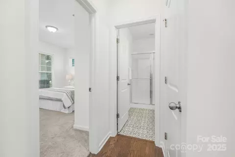 17203 Summers Walk Blvd, Davidson, NC 28036 photo 4