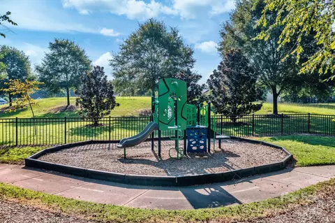 17203 Summers Walk Blvd, Davidson, NC 28036 photo 33