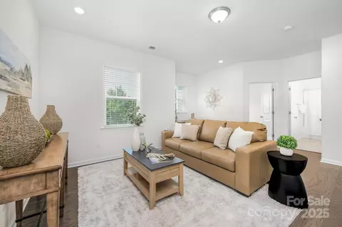 17203 Summers Walk Blvd, Davidson, NC 28036 photo 17