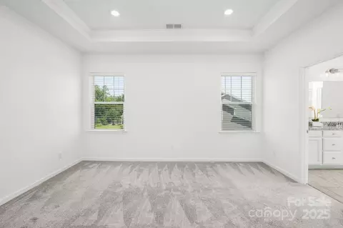 17203 Summers Walk Blvd, Davidson, NC 28036 photo 22