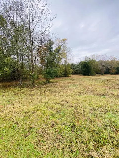 0 Wexford Mill Dr, Wagener, SC 29164