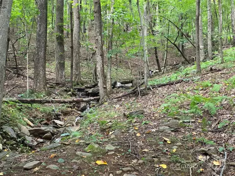 800610 Ivy 217 Rd #217, Mills River, NC 28759