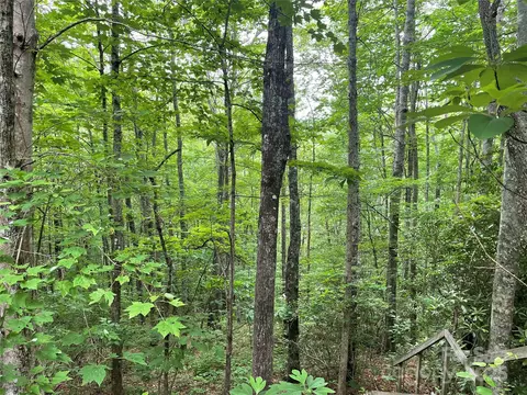 279 Cabin Flats Road #279, Balsam, NC 28707