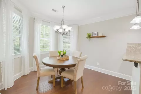 12515 Hashanli Pl, Matthews, NC 28105 photo 10