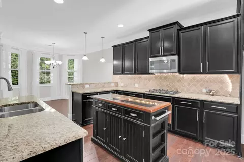 12515 Hashanli Pl, Matthews, NC 28105 photo 8