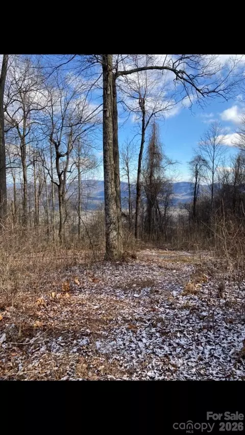 2523 Creston T-24 Dr #T-24, Black Mountain, NC 28711