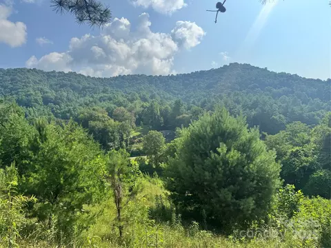 140 Wallins Way, Mars Hill, NC 28754